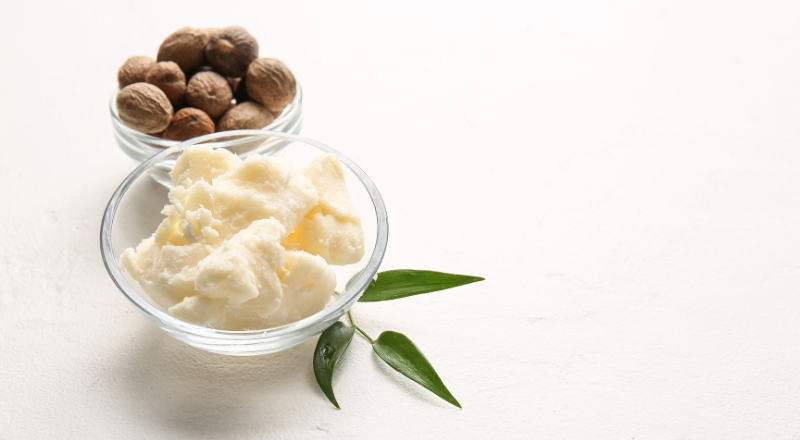 Shea Butter là gì? Cùng tìm hiểu hoạt chất vàng trong dưỡng ẩm