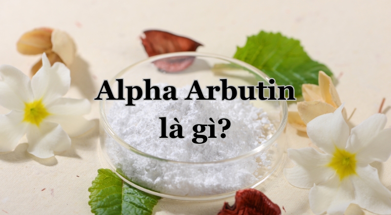 Alpha Arbutin là gì? thành phần dưỡng trắng da an toàn và hiệu quả