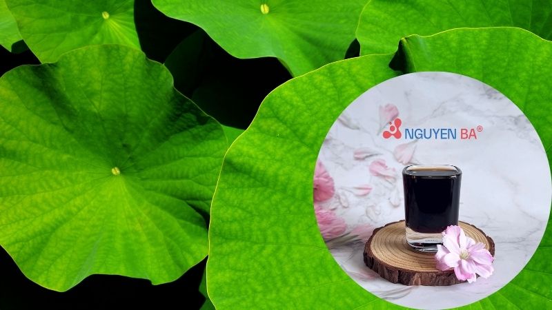Cách sử dụng chiết xuất lá sen