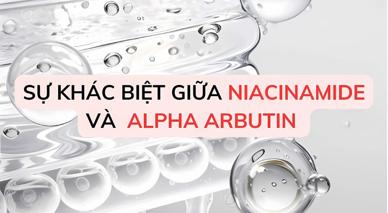 Alpha Arbutin và Niacinamide có gì khác biệt? Có nên kết hợp trong skincare?