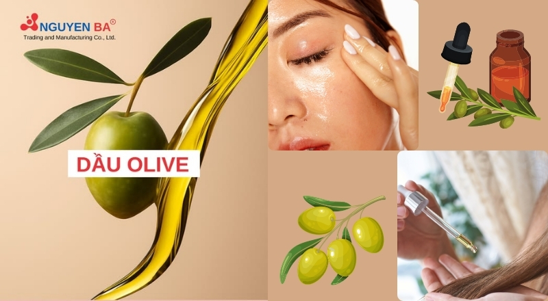Dầu olive tinh luyện là gì? – Bí quyết dưỡng da, dưỡng tóc tự nhiên từ thiên nhiên