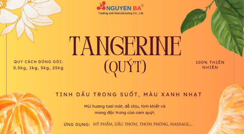 Tinh dầu quýt là gì? Công dụng & ứng dụng tuyệt vời trong làm đẹp và thư giãn