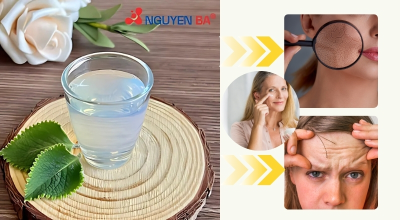 BIO-Placenta là gì? Khám phá sức mạnh trẻ hóa của BIO-Placenta