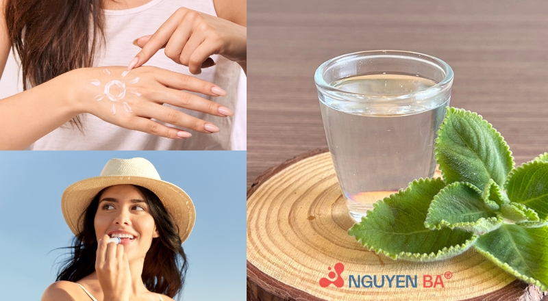 Homosalate là gì? Công dụng chống nắng và ứng dụng trong mỹ phẩm