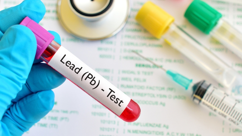 Gửi mẫu thử đến trung tâm kiểm định để test hàm lượng chì