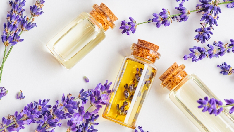 Chọn tinh dầu Lavender từ Nguyễn Bá Chemical