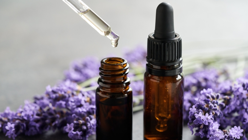 Tinh dầu Lavender là gì?