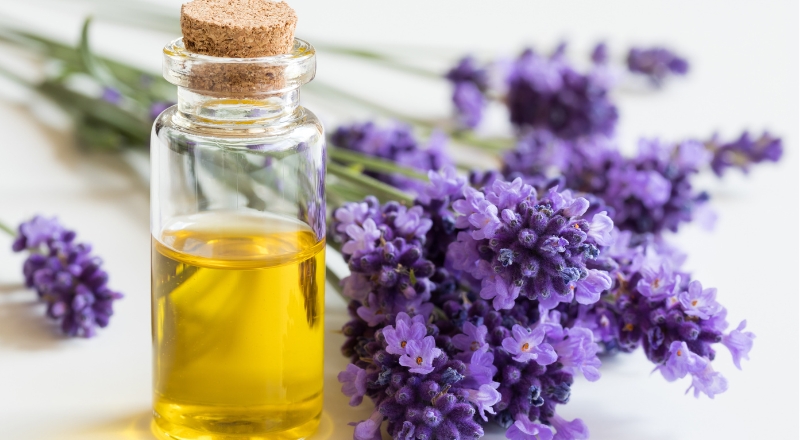 Tinh dầu Lavender là gì? Tác dụng tuyệt vời cho da và sức khỏe