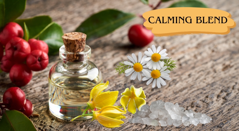 Calming Blend là gì? Tinh dầu thư giãn, cân bằng cảm xúc