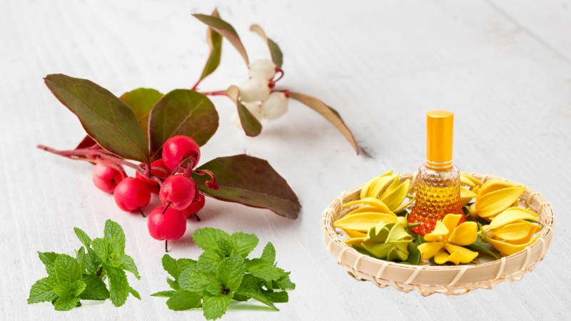 Thành phần trong Calming Blend của Nguyễn Bá Chemical