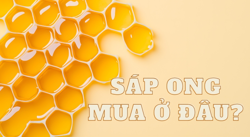 Sáp ong mua ở đâu? Hướng dẫn chọn sáp ong lành tính, phù hợp nhu cầu