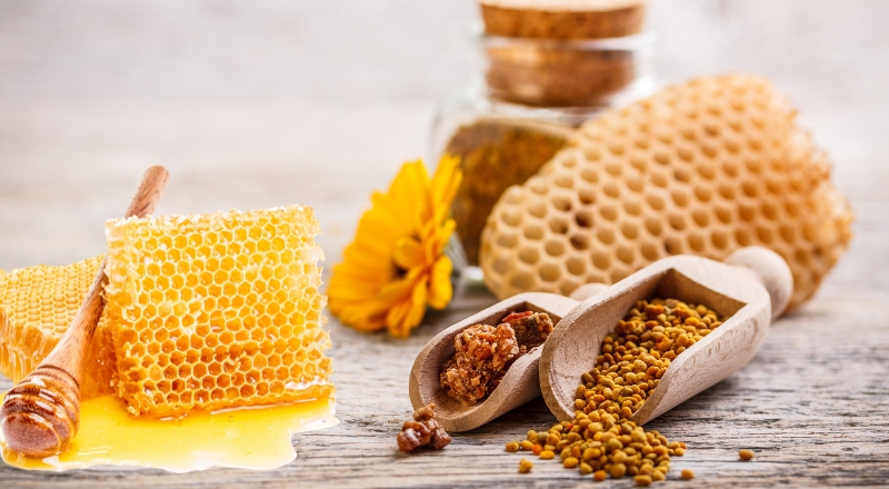 Sáp ong để làm gì? Tác dụng của sáp ong đối với sức khỏe
