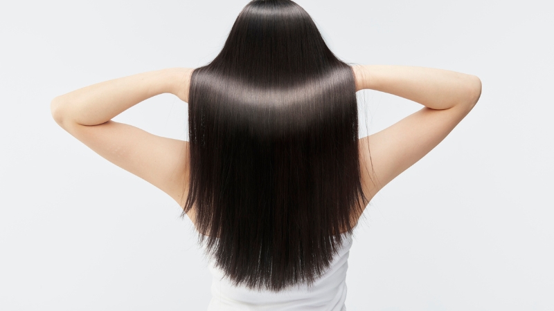 Công dụng của chiết xuất Cỏ mực