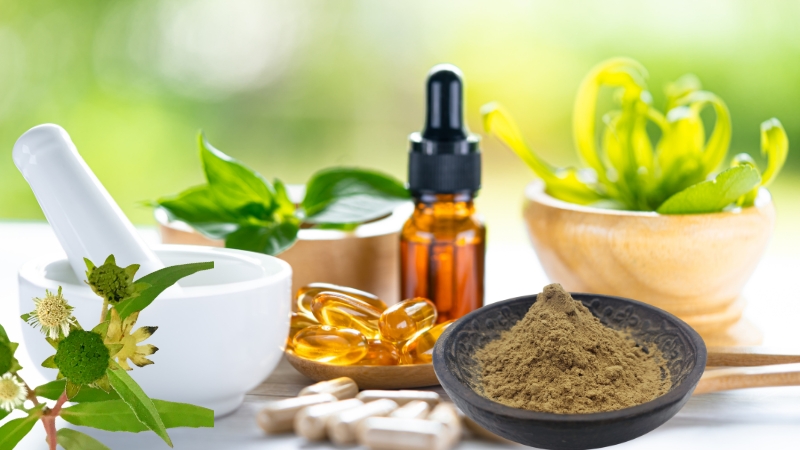Chiết xuất Cỏ mực (Eclipta Alba Extract)