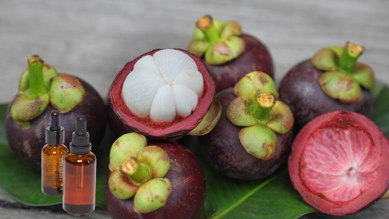 Chiết xuất vỏ măng cụt