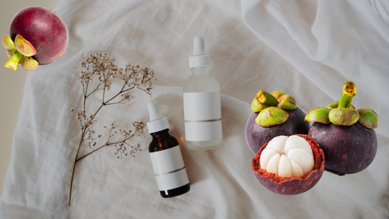 Ứng dụng chiết xuất vỏ măng cụt trong mỹ phẩm