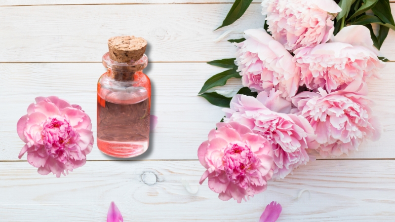 Thành phần & cơ chế hoạt động của chiết xuất hoa mẫu đơn