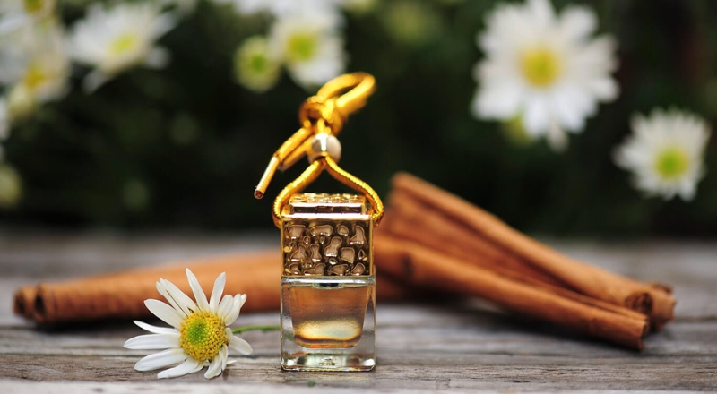 Top 10 tinh dầu treo xe ô tô giúp khử mùi, thơm xe, thư giãn dễ chịu