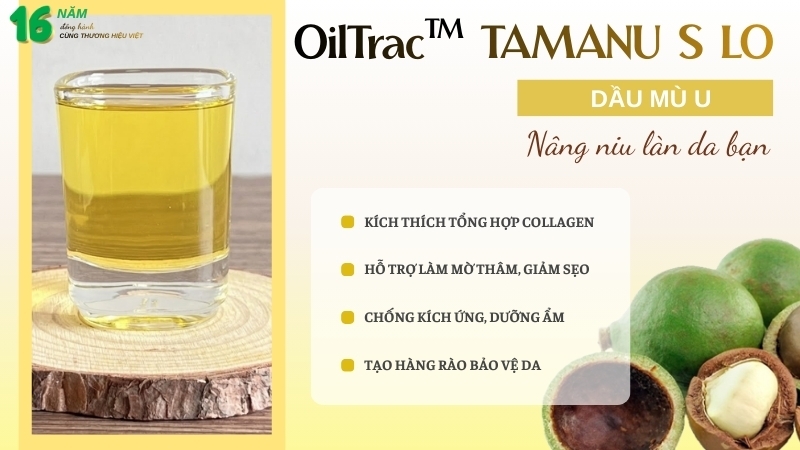 Mua dầu mù u chất lượng tại Nguyễn Bá Chemical