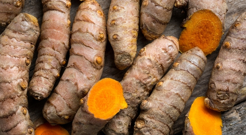 Nghệ tươi giàu curcumin, tinh dầu, vitamin tốt cho tiêu hóa và làn da