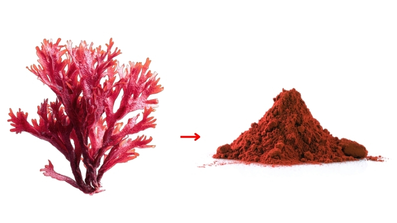 Astaxanthin