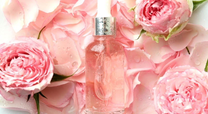 Chiết xuất hoa hồng giúp chống lão hóa, dưỡng ẩm, làm sáng và làm dịu da