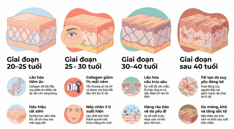 Phân tích lão hóa theo độ tuổi hỗ trợ xây dựng chiến lược chăm sóc da chính xác