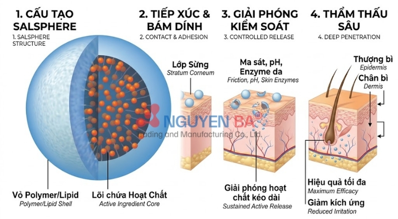SalSphere Light là hệ dẫn truyền giúp tăng hiệu quả và độ ổn định hoạt chất