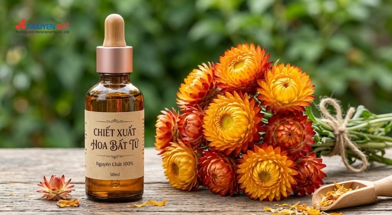 Hoa bất tử có tác dụng gì trong làm đẹp? Ứng dụng của chiết xuất bất tử trong mỹ phẩm