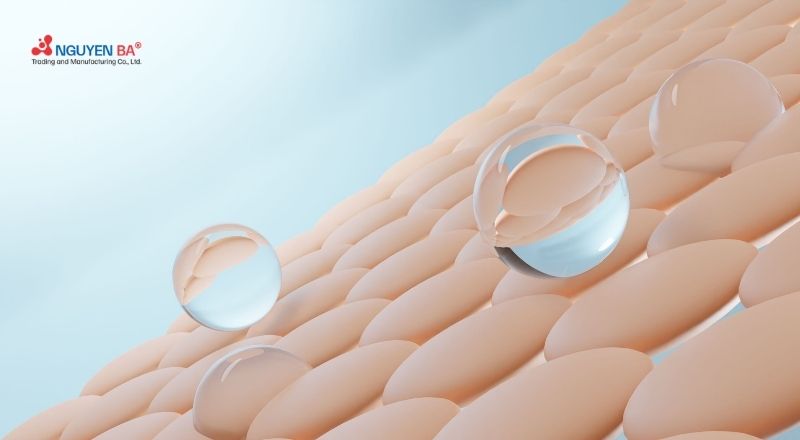 Hoa bất tử hỗ trợ bảo vệ da, làm dịu và cải thiện dấu hiệu lão hóa