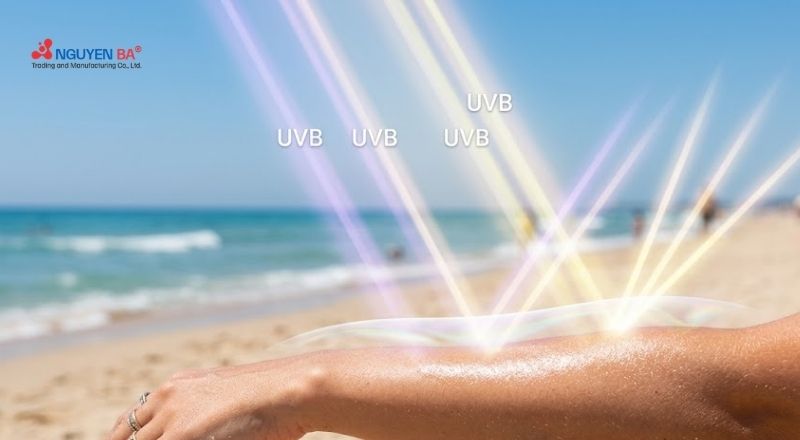 Chiết xuất bất tử hỗ trợ giảm viêm và phục hồi da tổn thương do UVB