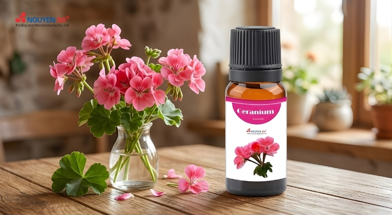 Tinh dầu phong lữ có tác dụng gì? Giải đáp chi tiết và cách dùng hiệu quả