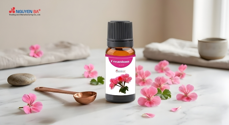 Tinh dầu phong lữ là chiết xuất giàu hoạt chất giúp chăm sóc và bảo vệ da