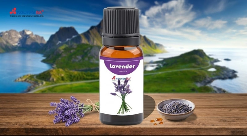 Tinh dầu oải hương chứa linalool giúp xua muỗi và hỗ trợ thư giãn