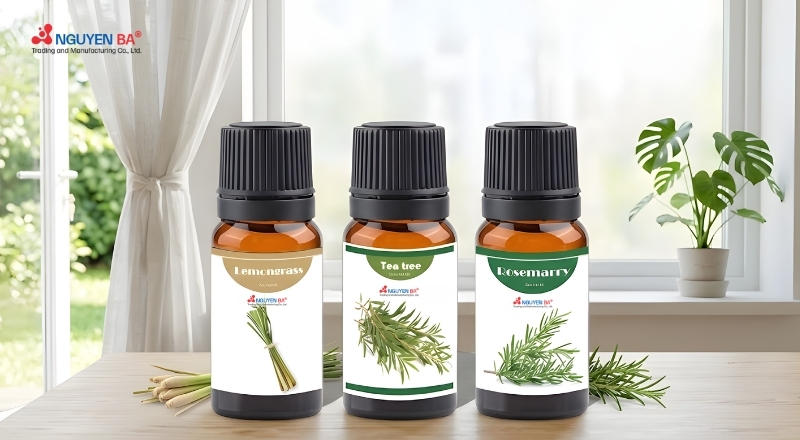 Nhóm tinh dầu xua côn trùng giúp bảo vệ không gian sống mùa hè hiệu quả