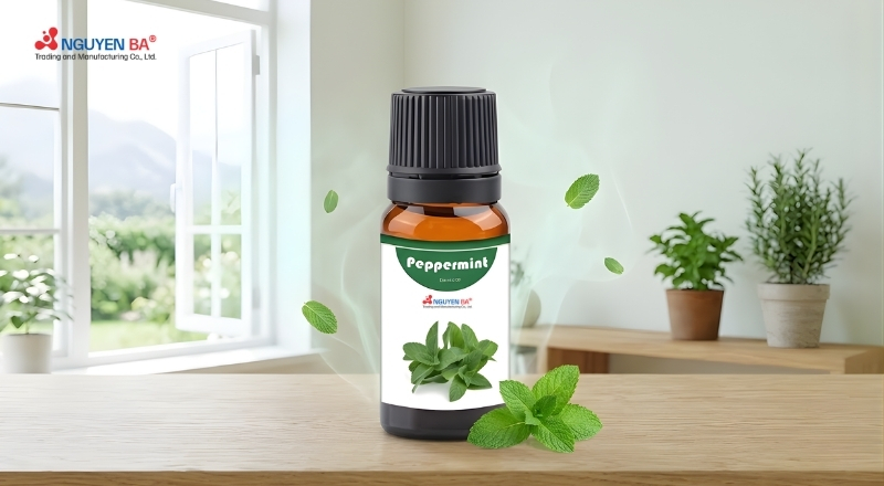 Nhóm tinh dầu the mát mang lại cảm giác dễ chịu và giải nhiệt mùa hè