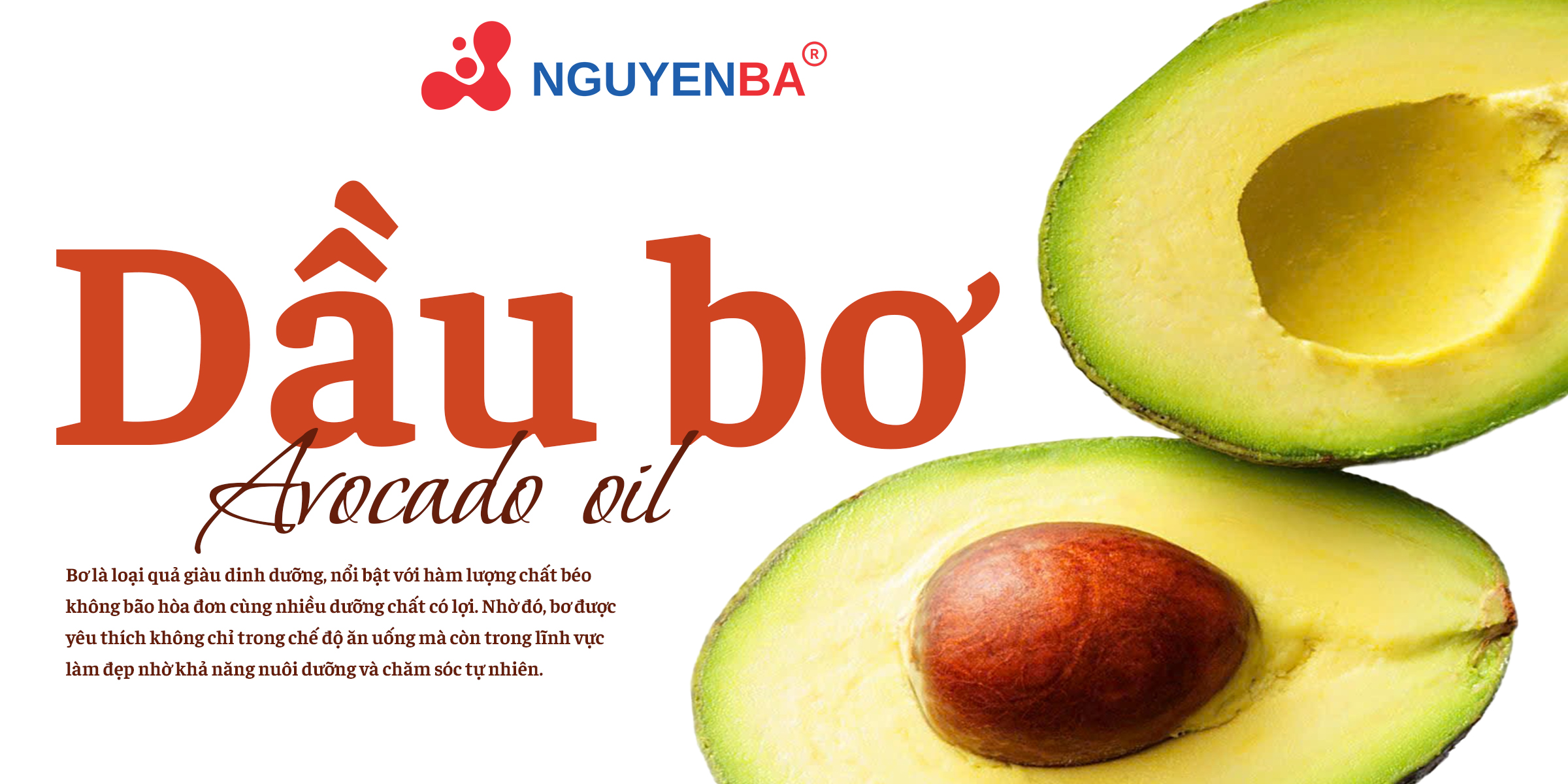 Dầu bơ có tác dụng gì? Bí quyết dưỡng da mềm mịn và phục hồi tóc