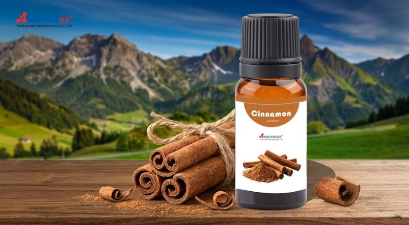 Tác dụng của tinh dầu quế trong mỹ phẩm và chăm sóc da