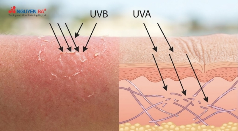 Cơ chế chống nắng phụ thuộc vào khả năng bảo vệ da trước tia UVA và UVB