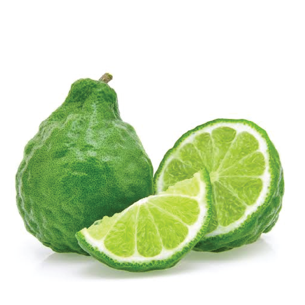 CHIẾT XUẤT CAM BERGAMOT - AKOBIOL HGL BERGAMOT