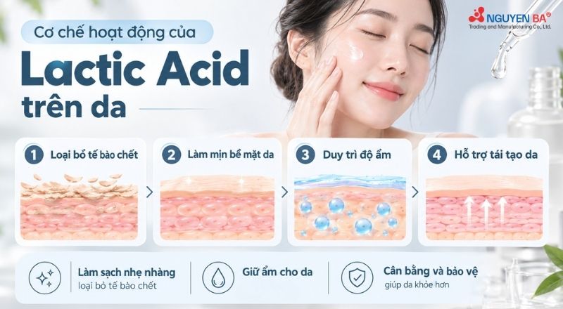 Lactic Acid giúp làm sạch lớp da cũ, mang lại bề mặt da mịn hơn mà vẫn hỗ trợ giữ ẩm.
