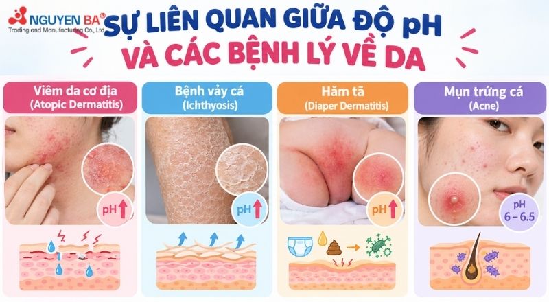 Độ pH mất cân bằng dẫn đến hàng rào bảo vệ da suy yếu, dễ phát sinh nhiều vấn đề da liễu.